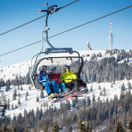 Drei Tannen - 04 - Apartmenthaus, Titisee, Nahe Badeparadies * Titisee-Neustadt