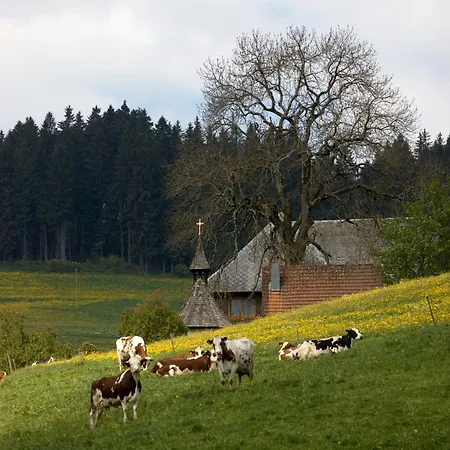 Apartmán Drei Tannen - 04 - Apartmenthaus, Titisee, Nahe Badeparadies *