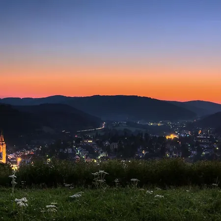 Drei Tannen - 04 - Apartmenthaus, Titisee, Nahe Badeparadies Apartmán Titisee-Neustadt