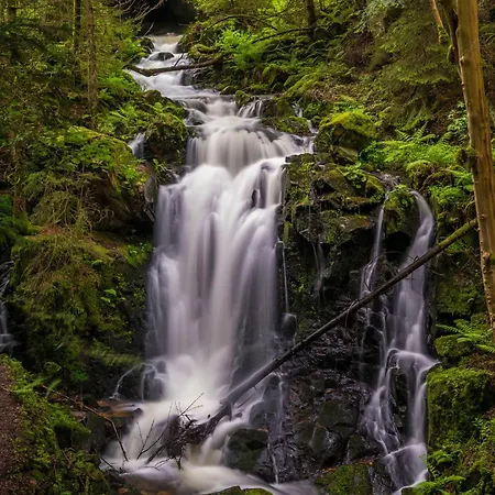 Apartmán Drei Tannen - 04 - Apartmenthaus, Titisee, Nahe Badeparadies Titisee-Neustadt