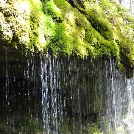 Drei Tannen - 04 - Apartmenthaus, Titisee, Nahe Badeparadies Apartmán *