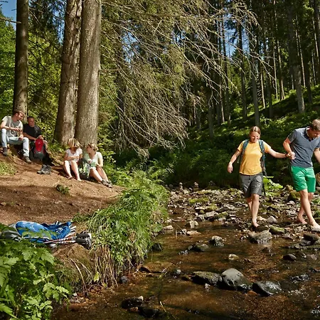 Apartmán Drei Tannen - 04 - Apartmenthaus, Titisee, Nahe Badeparadies