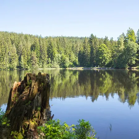 Drei Tannen - 04 - Apartmenthaus, Titisee, Nahe Badeparadies Apartmán *