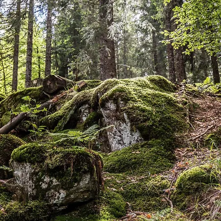 Apartmán Drei Tannen - 04 - Apartmenthaus, Titisee, Nahe Badeparadies *