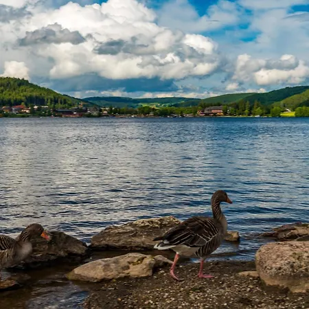 Drei Tannen - 04 - Apartmenthaus, Titisee, Nahe Badeparadies Apartmán Titisee-Neustadt