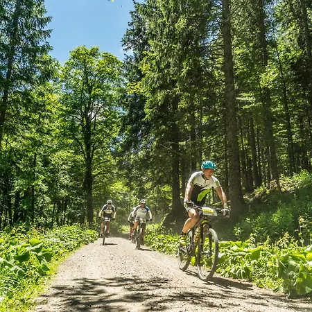 Apartmán Drei Tannen - 04 - Apartmenthaus, Titisee, Nahe Badeparadies Titisee-Neustadt