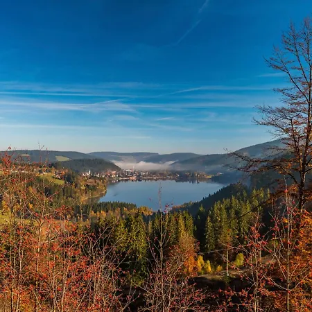 Drei Tannen - 04 - Apartmenthaus, Titisee, Nahe Badeparadies Apartmán