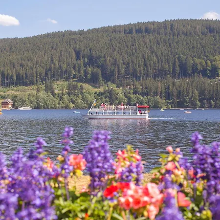 Drei Tannen - 04 - Apartmenthaus, Titisee, Nahe Badeparadies Apartmán