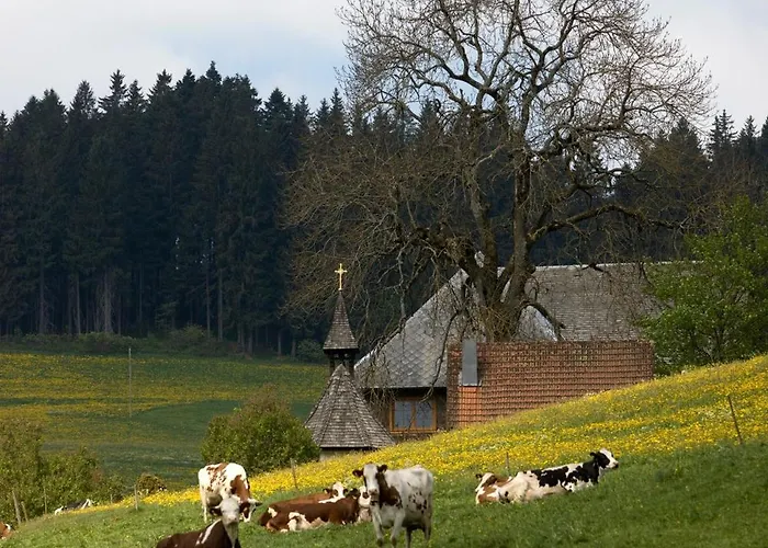 Apartament Drei Tannen - 04 - Apartmenthaus, Titisee, Nahe Badeparadies *