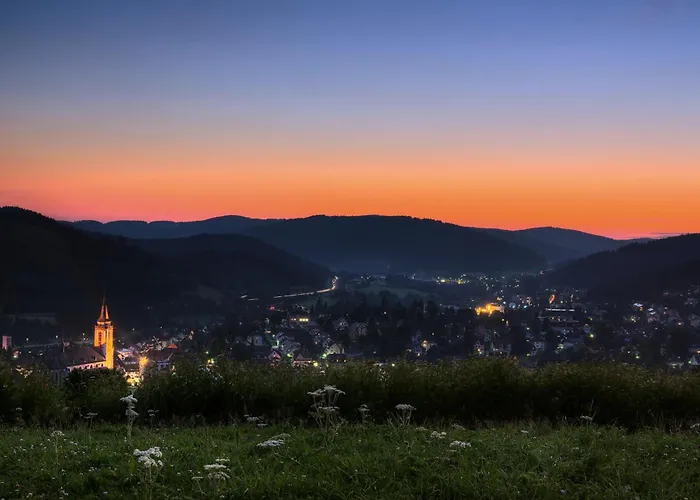 Drei Tannen - 04 - Apartmenthaus, Titisee, Nahe Badeparadies Apartament Titisee-Neustadt