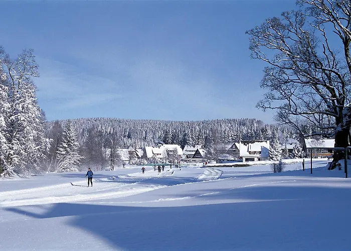 Drei Tannen - 04 - Apartmenthaus, Titisee, Nahe Badeparadies Apartament *