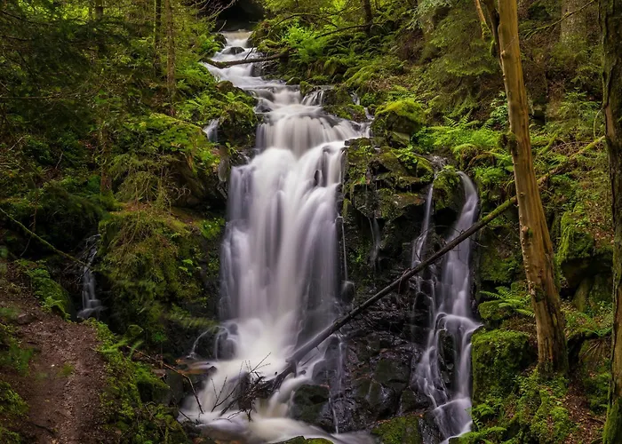 Apartament Drei Tannen - 04 - Apartmenthaus, Titisee, Nahe Badeparadies Titisee-Neustadt