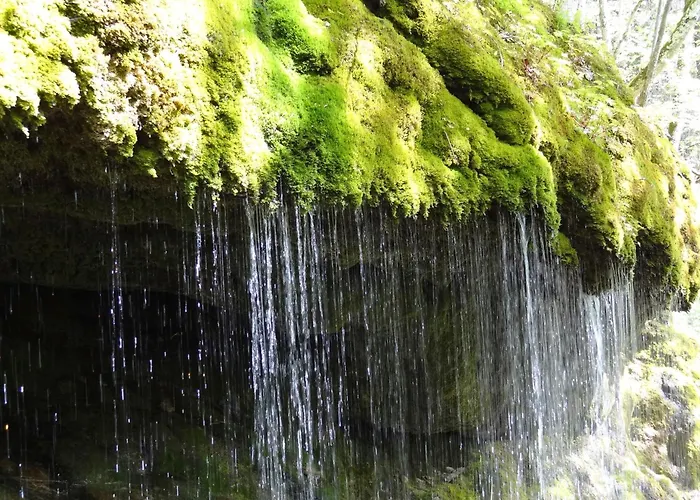 Drei Tannen - 04 - Apartmenthaus, Titisee, Nahe Badeparadies Apartament *