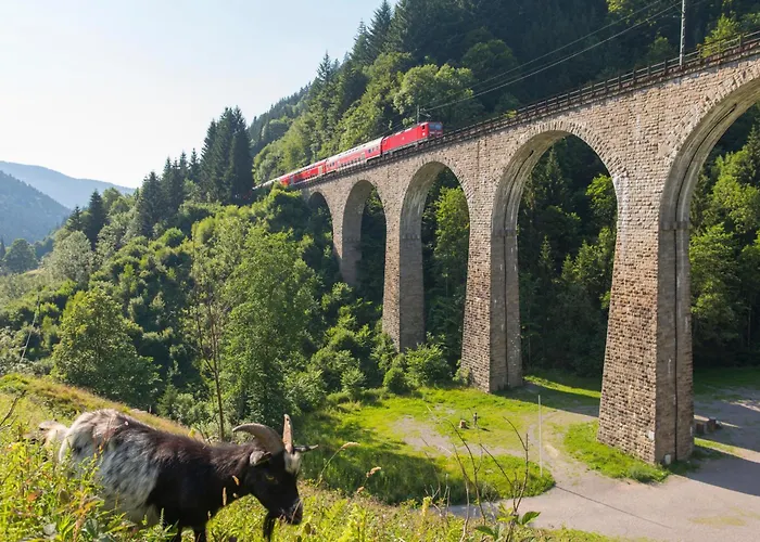 Drei Tannen - 04 - Apartmenthaus, Titisee, Nahe Badeparadies