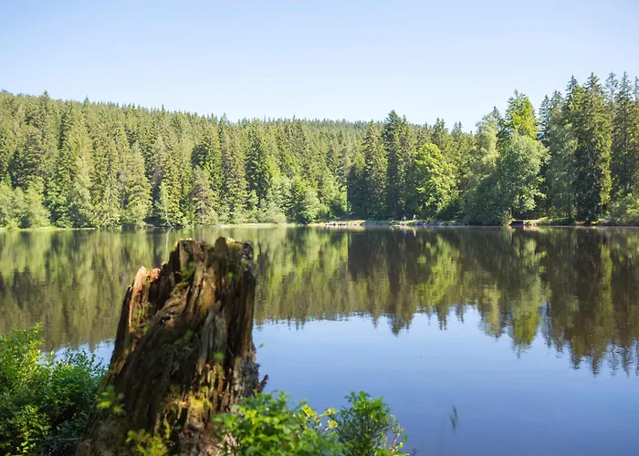 Drei Tannen - 04 - Apartmenthaus, Titisee, Nahe Badeparadies Apartament *