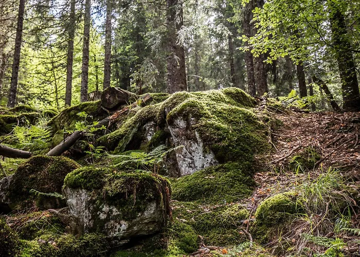 Apartament Drei Tannen - 04 - Apartmenthaus, Titisee, Nahe Badeparadies *