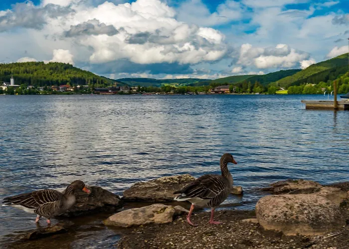 Drei Tannen - 04 - Apartmenthaus, Titisee, Nahe Badeparadies Apartament Titisee-Neustadt