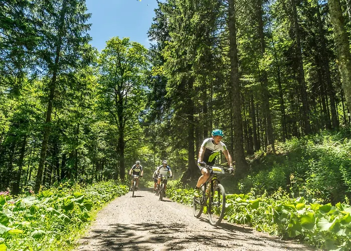 Apartament Drei Tannen - 04 - Apartmenthaus, Titisee, Nahe Badeparadies Titisee-Neustadt