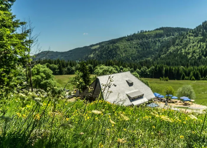 Drei Tannen - 04 - Apartmenthaus, Titisee, Nahe Badeparadies